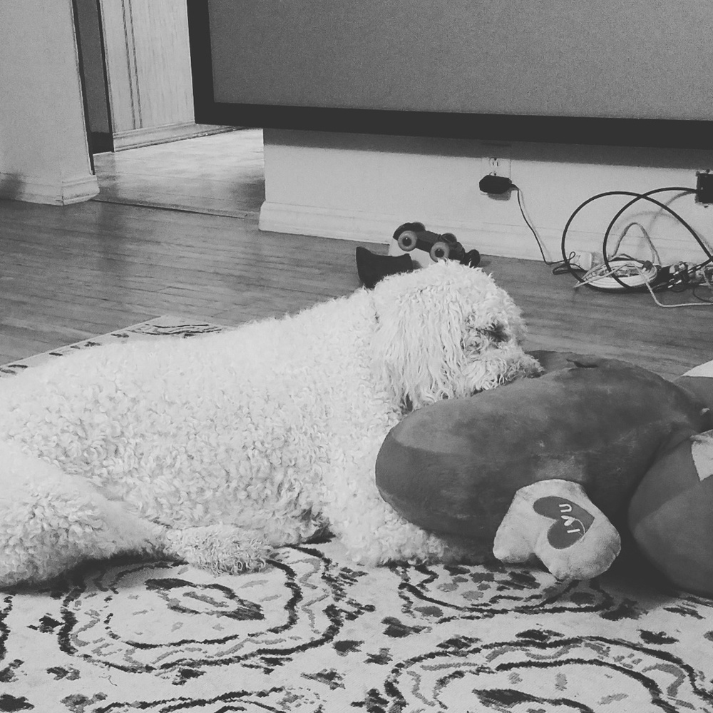 Meet your Posher, Aloha Brunch - Picture 7 of 8